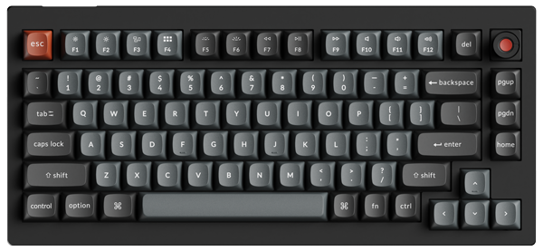 V 8K